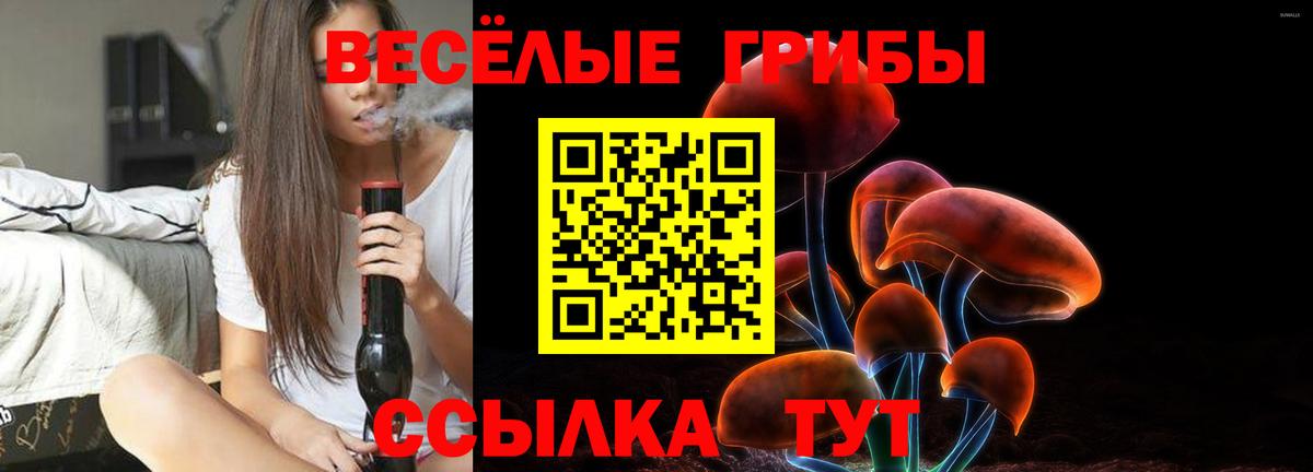 Черкесск  Галлюциногенные грибы прущие грибы  Галлюциногенные грибы Psilocybine cubensis  Вход с VPN 