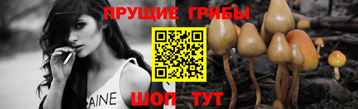Галлюциногенные грибы ЛСД Черкесск