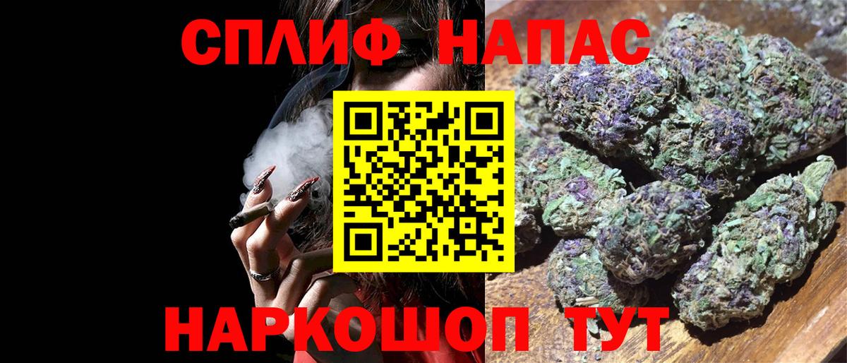 Бошки марихуана конопля  Шишки марихуана семена  Черкесск  Вход с VPN  Канабис конопля 